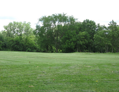 Natural open space